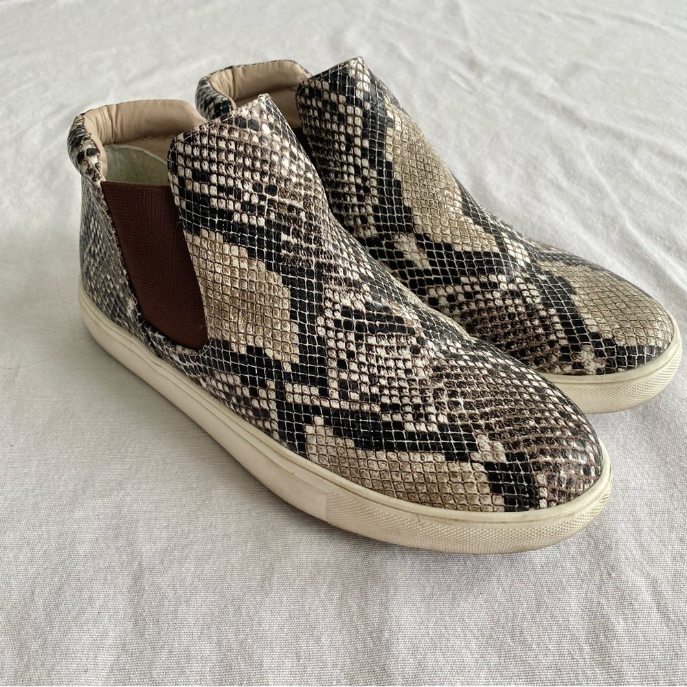 Coconuts by Matisse Harlan Snake Print Sneakers